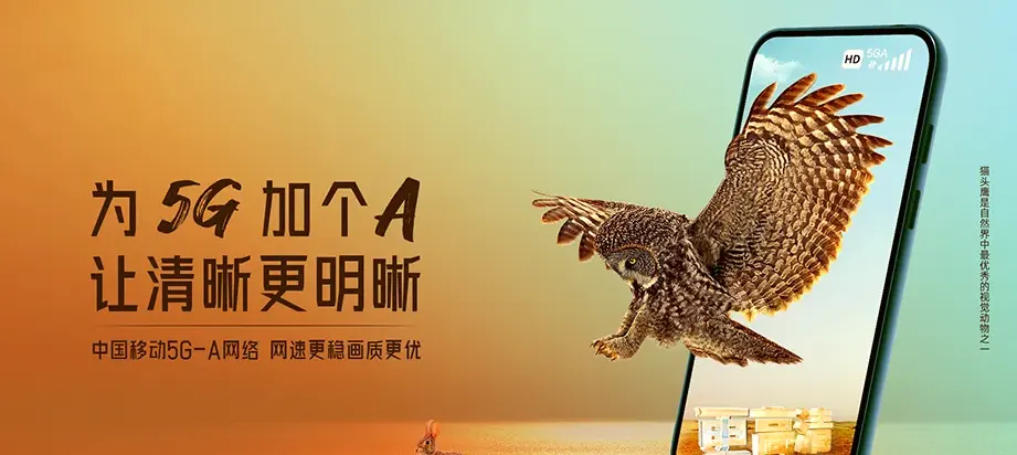 枞阳县枞阳县白梅乡 移动宽带