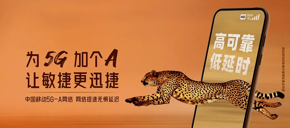 枞阳县枞阳县钱铺镇 移动宽带
